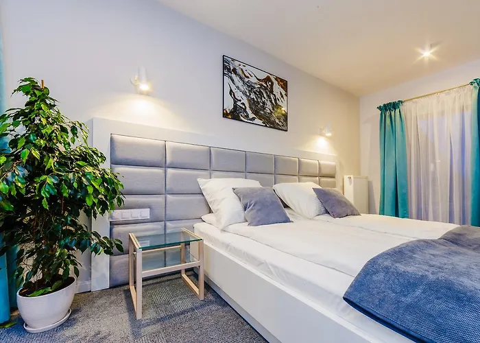 Zigzak Superior 10b Rzeszów